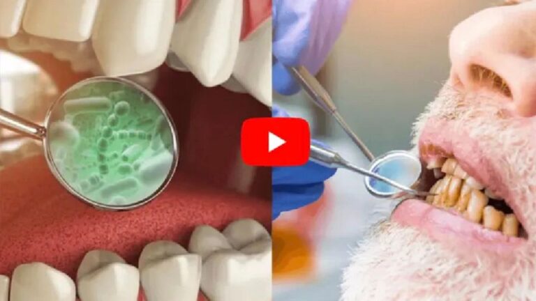 gum and tooth health